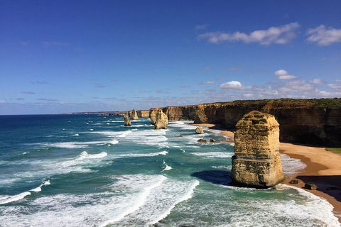 Great Ocean Road Reverse Itinerary Tour - Accommodation Nelson Bay 4