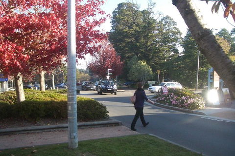 PRIVATE All-Day Blue Mountains Tour With Professional Guide For Up To 4 People - Accommodation Nelson Bay 1