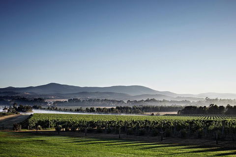 Chauffeur Driven Yarra Valley Group Wine Tour - Up To 7 - Accommodation Nelson Bay 2