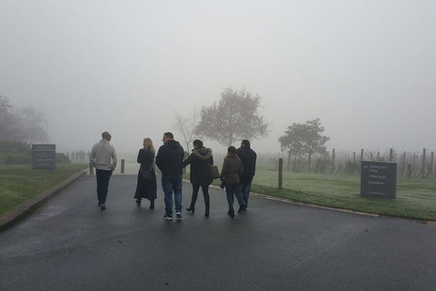 Chauffeur Driven Yarra Valley Group Wine Tour - Up To 7 - Accommodation Nelson Bay 4