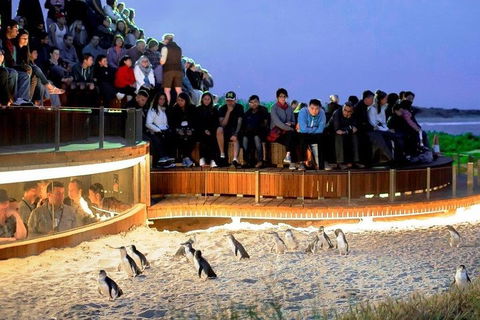 Great Ocean Road & Phillip Island - 3 Days, 2 Nights - Accommodation Nelson Bay 0