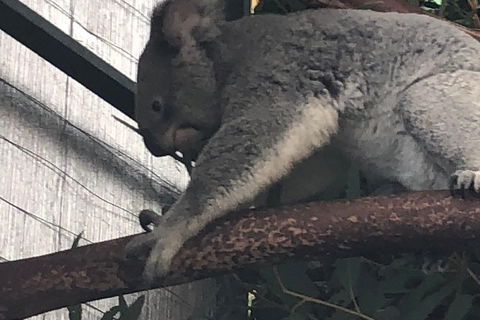 Perth Hills - Wildlife, Art & Gastronomy - Accommodation Nelson Bay 3