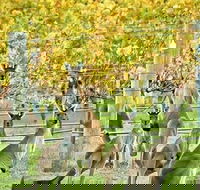 Margaret River Indulge and Discover Day Tour - Accommodation Nelson Bay
