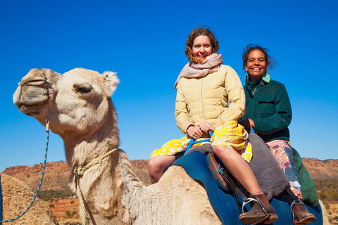 Alice Springs Camel Tour - Accommodation Nelson Bay 3
