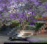 Sydney Secrets  Bondi Beach Private 4 Hr Morning with Personalised Sydney Tours - Accommodation Nelson Bay
