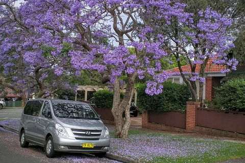 Sydney Secrets & Bondi Beach Private 4 Hr Morning With Personalised Sydney Tours - Accommodation Nelson Bay 0