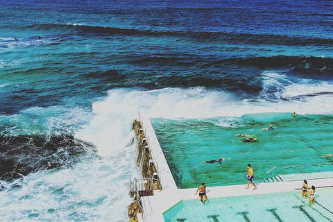 Sydney Secrets & Bondi Beach Private 4 Hr Morning With Personalised Sydney Tours - Accommodation Nelson Bay 4