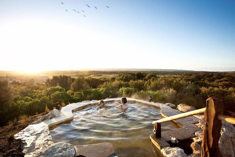 Peninsula Hot Springs & Wine Tasting - Day Tour - Accommodation Nelson Bay 0
