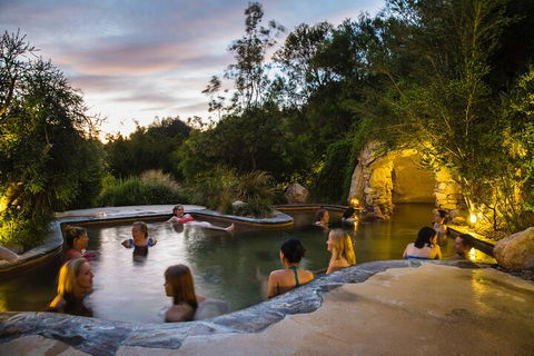 Peninsula Hot Springs & Wine Tasting - Day Tour - Accommodation Nelson Bay 3