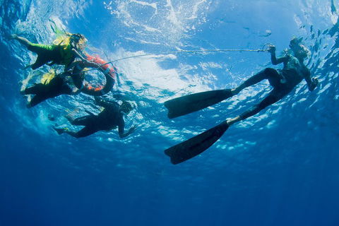 Passions Of Paradise Great Barrier Reef Snorkel And Dive Cruise From Cairns By Luxury Catamaran - Accommodation Nelson Bay 2