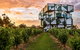 Victor Harbor And McLaren Vale Wine Region Day Tour - thumb 0