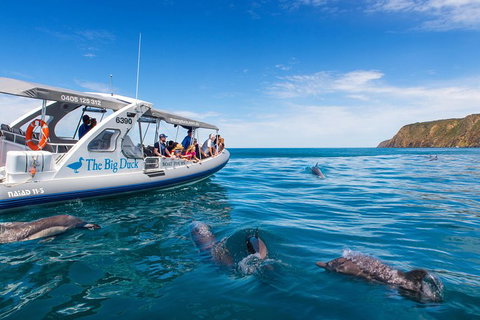 Victor Harbor And McLaren Vale Wine Region Day Tour - Accommodation Nelson Bay 1