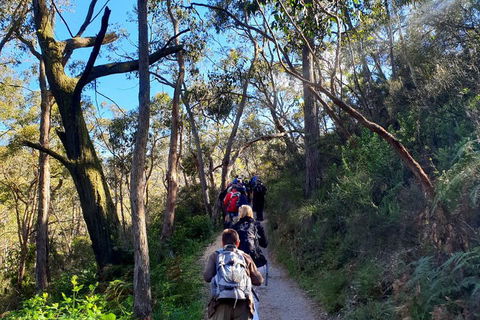 Self-Guided Waterfall Gully To Mount Lofty Hike From Adelaide - Accommodation Nelson Bay 1