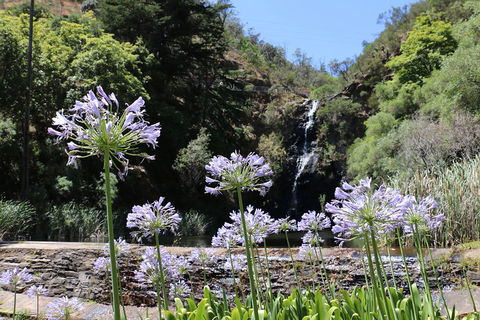 Self-Guided Waterfall Gully To Mount Lofty Hike From Adelaide - Accommodation Nelson Bay 3