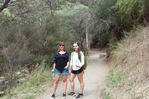 Self-Guided Waterfall Gully To Mount Lofty Hike From Adelaide - Accommodation Nelson Bay 4