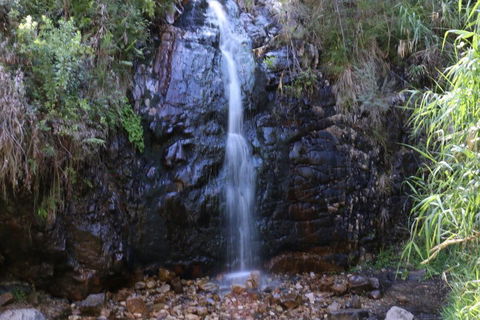 Self-Guided Waterfall Gully To Mount Lofty Hike From Adelaide - Accommodation Nelson Bay 5