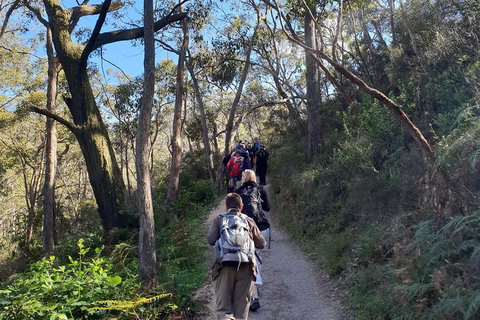Mount Lofty Hike And Cleland Wildlife Park Day Trip From Adelaide - Accommodation Nelson Bay 3