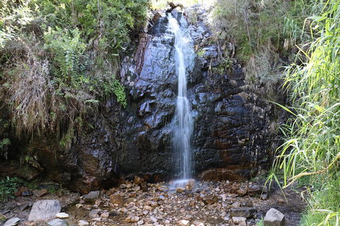 Mount Lofty Hike And Cleland Wildlife Park Day Trip From Adelaide - Accommodation Nelson Bay 4