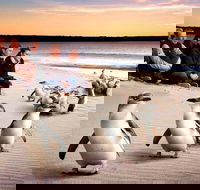Private Tour Penguin Parade Phillip Island Tour. - Accommodation Nelson Bay
