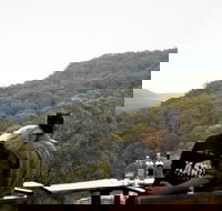 Taste of the Blue Mountains - Lunch  Wine tasting Beer Cider  Gin Tasting - Accommodation Nelson Bay