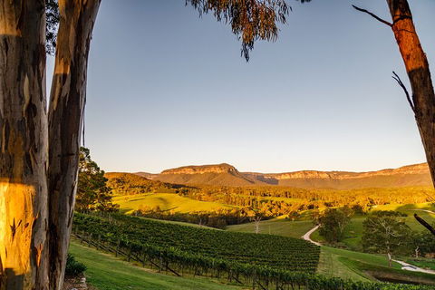 Taste Of The Blue Mountains - Lunch & Wine Tasting, Beer, Cider & Gin Tasting - Accommodation Nelson Bay 1