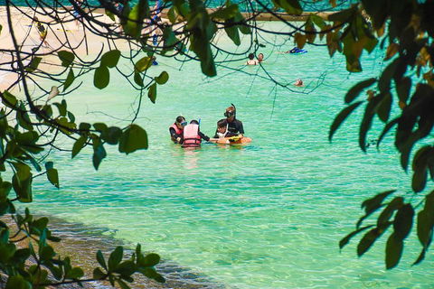 Green Island Day Trip From Cairns - Accommodation Nelson Bay 2