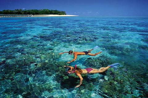 Green Island Day Trip From Cairns - Accommodation Nelson Bay 5