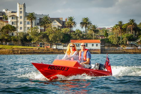 Sydney Speed Boat Adventure Harbour Tour - Accommodation Nelson Bay 4