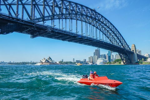 Sydney Speed Boat Adventure Harbour Tour - Accommodation Nelson Bay 5