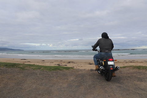 Royal Enfield Interceptor 650cc - Accommodation Nelson Bay 5