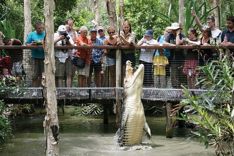Hartley's Crocodile Adventure Half-Day Tour - Accommodation Nelson Bay 1
