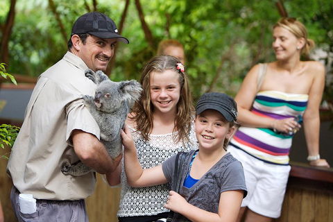 Hartley's Crocodile Adventure Half-Day Tour - Accommodation Nelson Bay 3