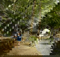 Discover Tour Dandenong Ranges  William Ricketts Sanctuary - Accommodation Nelson Bay