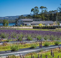Private Hobart Discover South East Food and Scenic Tour - Accommodation Nelson Bay