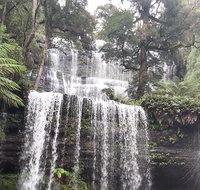 6-Day Hearty Tasmania Tour Tasmania in a Circle - Accommodation Nelson Bay