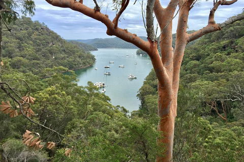 Shore Excursion: Sydney's Northern Beaches & Ku-ring-gai National Park Bus Tour - Accommodation Nelson Bay 1
