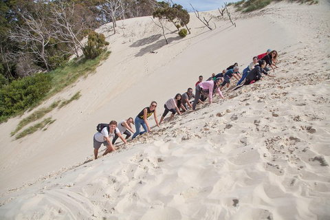 3 Day Tasmanian Wild West Coast Tour From Hobart To Launceston - Nelson Bay Accommodation.com 2