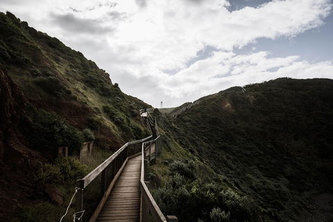 Small Group: Mornington Peninsula Hike And Hot Springs Day Tour From Melbourne - Accommodation Nelson Bay 1