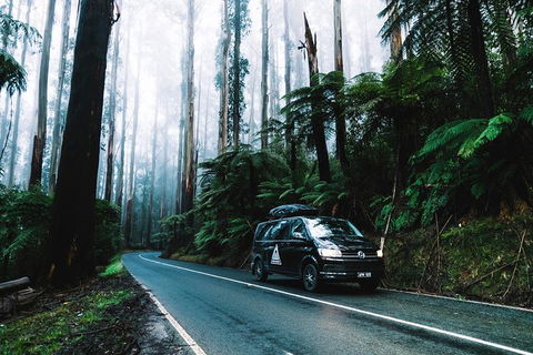 Small Group: Mornington Peninsula Hike And Hot Springs Day Tour From Melbourne - Accommodation Nelson Bay 3