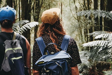 Small Group - Yarra Valley & Dandenong Ranges Hike From Melbourne - Accommodation Nelson Bay 0