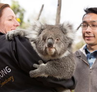 Bonorong Wildlife Park and Richmond Afternoon Tour from Hobart - Accommodation Nelson Bay