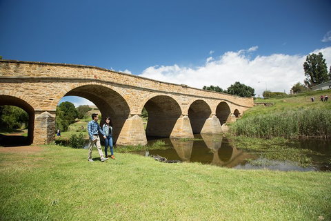 Bonorong Wildlife Park And Richmond Afternoon Tour From Hobart - Accommodation Nelson Bay 2