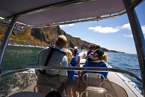 Seal Island Boat Tour From Victor Harbor - Accommodation Nelson Bay 2