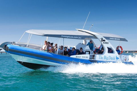 Seal Island Boat Tour From Victor Harbor - Accommodation Nelson Bay 3