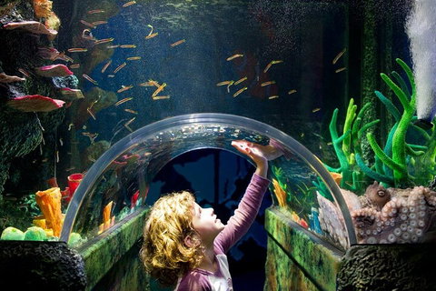 Melbourne BIG Ticket - LEGOLAND Discovery And SEA LIFE Melbourne - Accommodation Nelson Bay 2