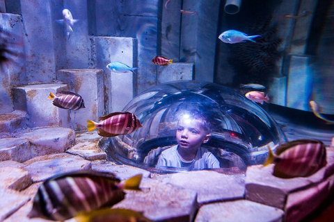 Melbourne BIG Ticket - LEGOLAND Discovery And SEA LIFE Melbourne - Accommodation Nelson Bay 5