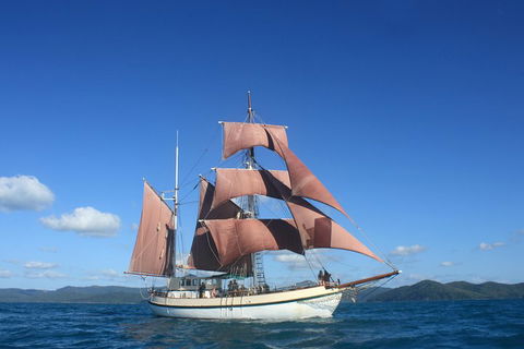 Sydney Harbour Tall Ship Whale & Sail - Whale Watching Cruise - Accommodation Nelson Bay 1