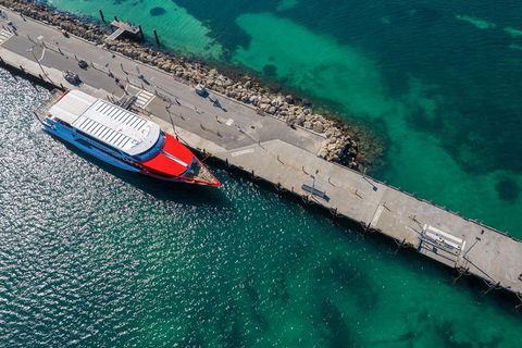 Rottnest Island Round-Trip Ferry From Perth Or Fremantle - Accommodation Nelson Bay 1