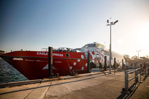 Rottnest Island Round-Trip Ferry From Perth Or Fremantle - Accommodation Nelson Bay 2
