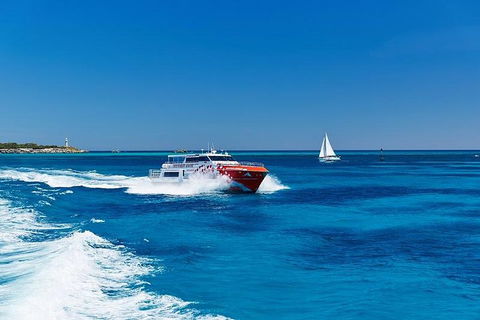 Rottnest Island Round-Trip Ferry From Perth Or Fremantle - Accommodation Nelson Bay 4